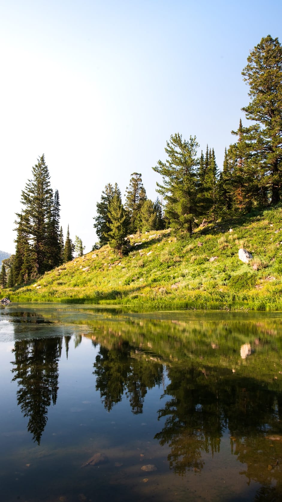 A quiet mountain lake reflecting a green hillside